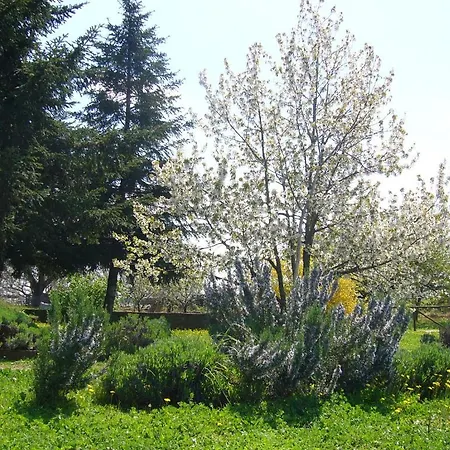 San Giacomo Pitigliano