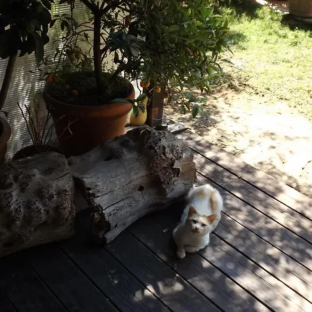 San Giacomo Vakantieboerderij *